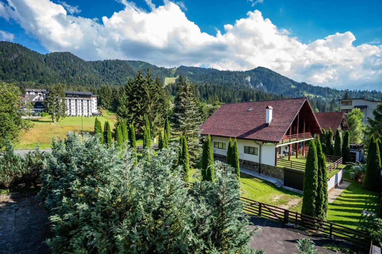 Pensiunea Sura Dacilor - Alex Poiana Brasov Exteriör bild