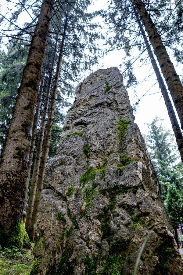 Pensiunea Sura Dacilor - Alex Poiana Brasov Exteriör bild