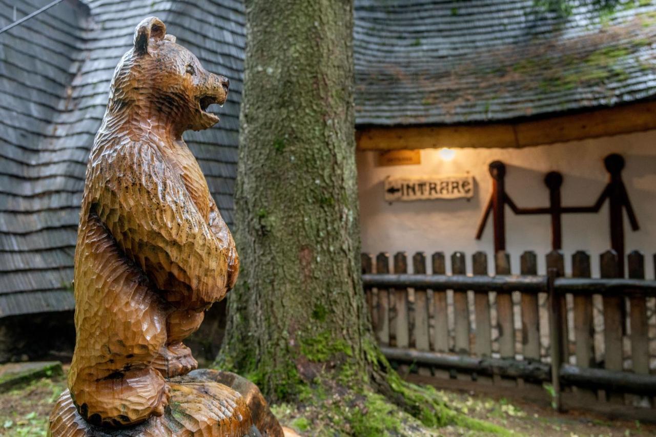 Pensiunea Sura Dacilor - Alex Poiana Brasov Exteriör bild
