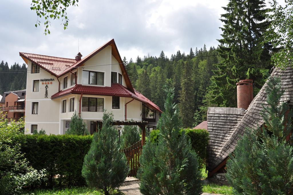 Pensiunea Sura Dacilor - Alex Poiana Brasov Exteriör bild